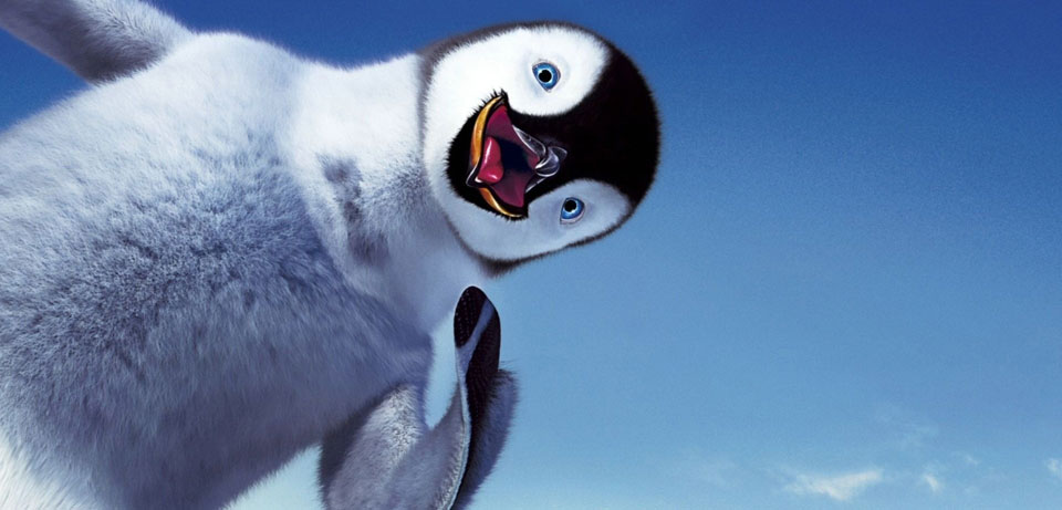 Random Penguin Photo